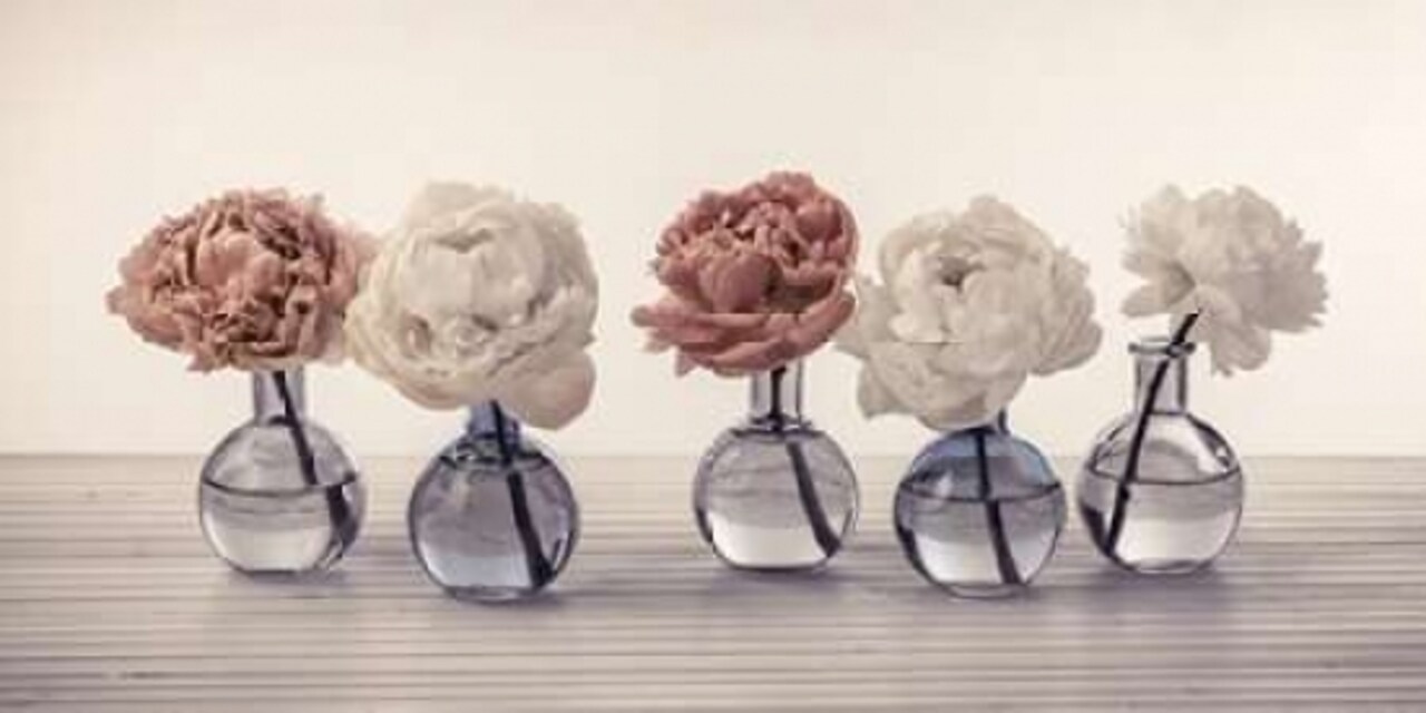 Peonies in glass bottles Poster Print by Assaf Frank - Item # VARPDXFTBR1784